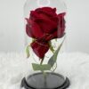 Rose sous cloche avec lumière